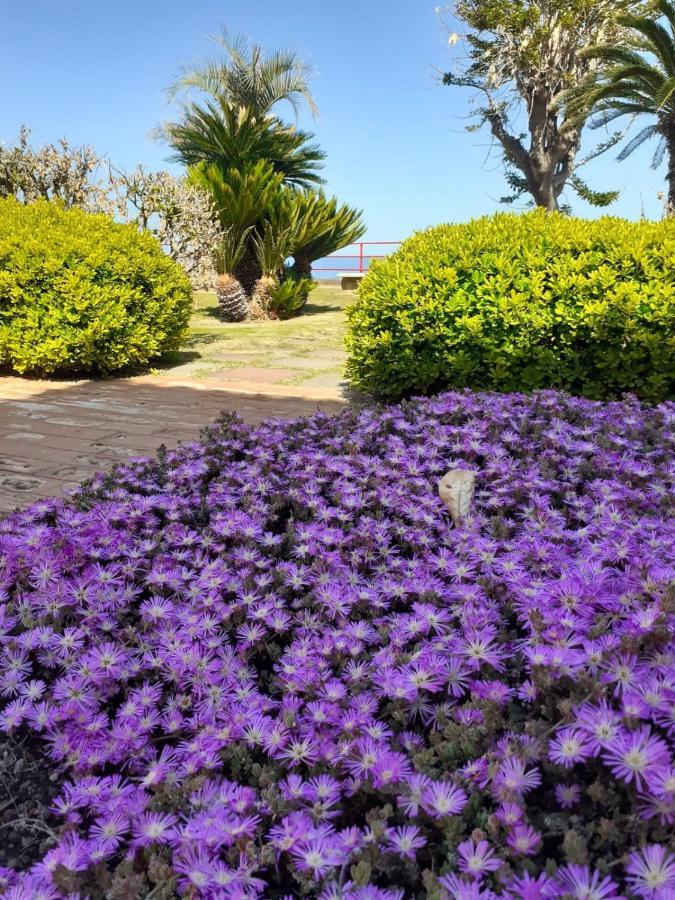 Aquamarine Home Riposto Dış mekan fotoğraf